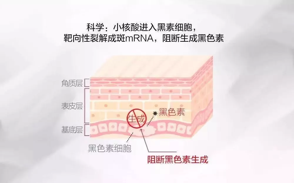 1576200443876643.jpg 8.jpg