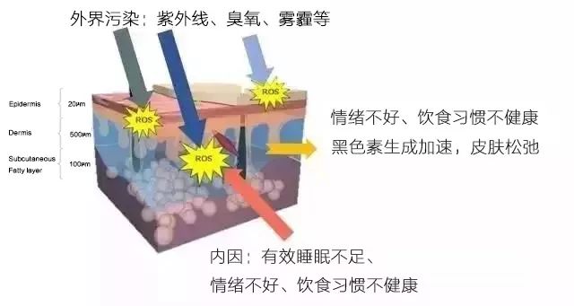 1585043394510572.jpg 4.jpg