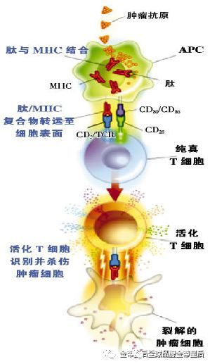 1585043437359014.jpg 8.jpg