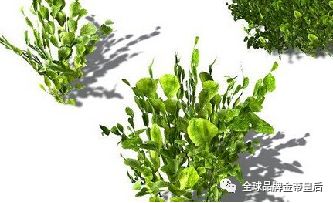 1585043528563759.jpg 17.jpg