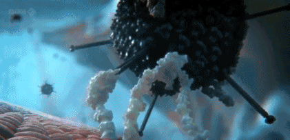 1608873917122330.jpg 20201225_132258_007.jpg