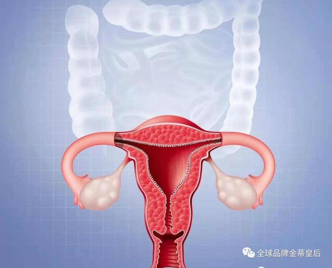 1608873932100126.jpg 20201225_132258_008.jpg