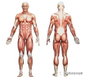 1608873958112416.jpg 20201225_132258_010.jpg