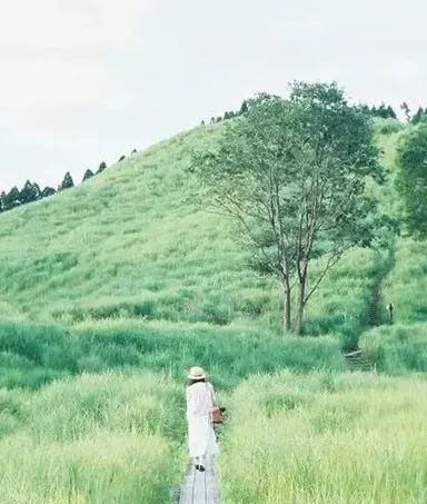 1617160492136088.jpg 640 (4).jpg