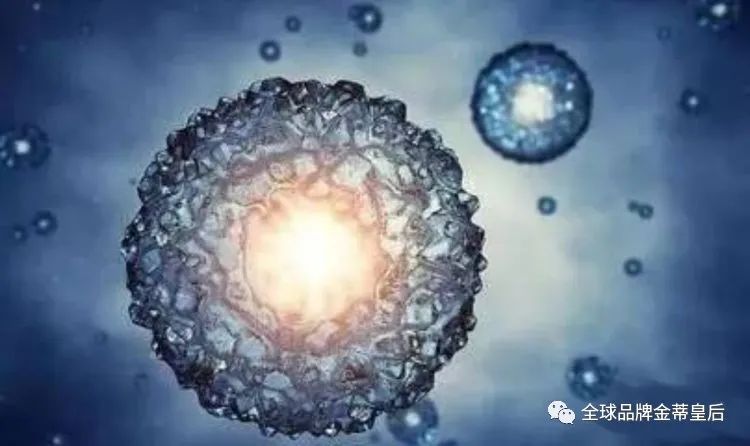 1622028563101400.jpg 640.jpg