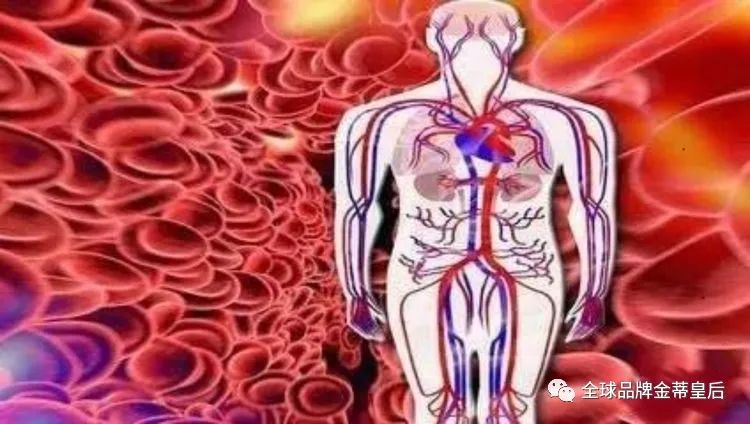 1622028594309484.jpg 640.jpg