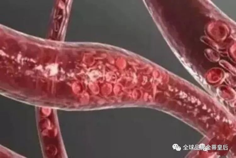 1622028717507258.jpg 640.jpg